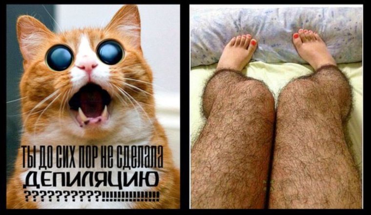 Приглашаю на шугаринг