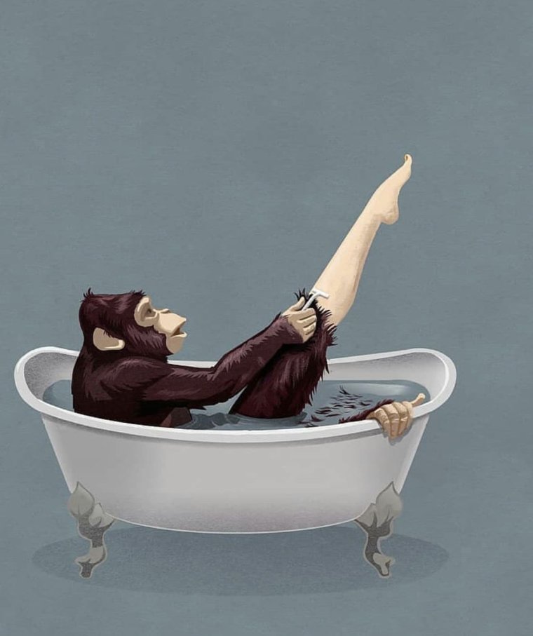 Модели на шугаринг