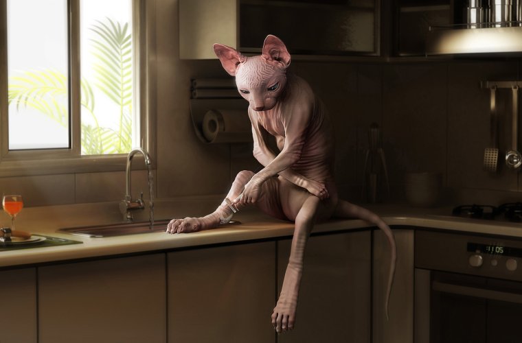 Высказывания про шугаринг