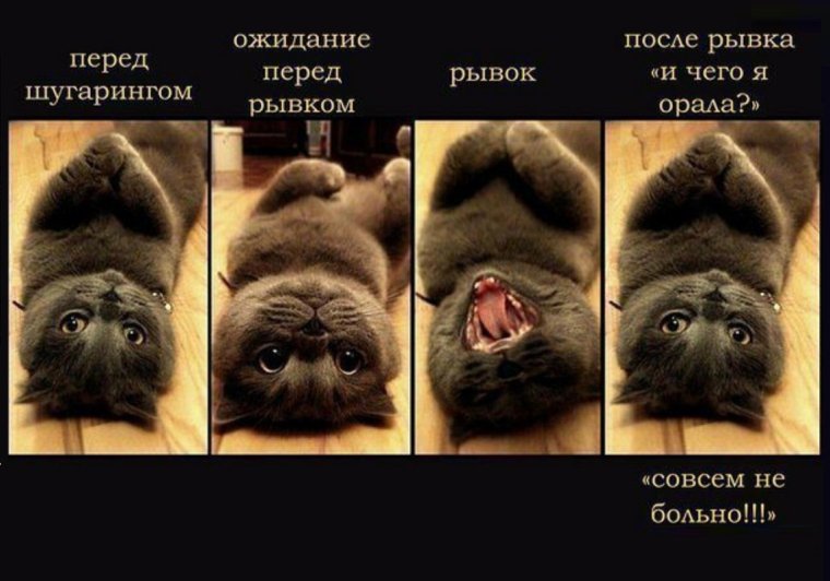 Высказывания про эпиляцию