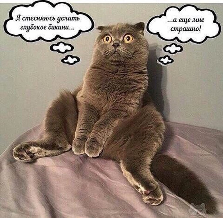 Прикольный пост про депиляцию