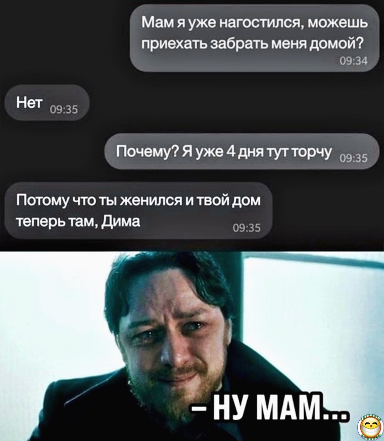 Мама забери меня домой я нагостился