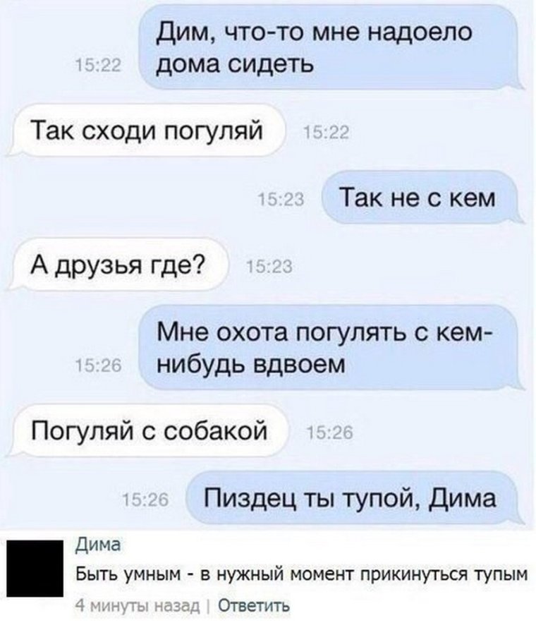 Дима ты тупой