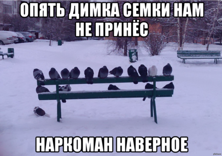 Дим привет как дела