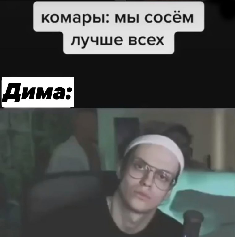 Мемы с тупым Димой