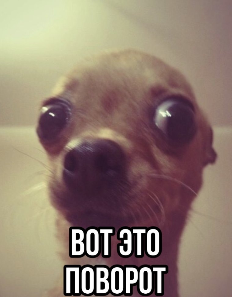 Люблю свою лучшую подругу