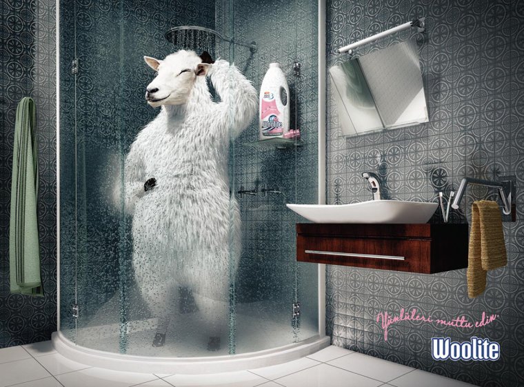 Животные в ванной