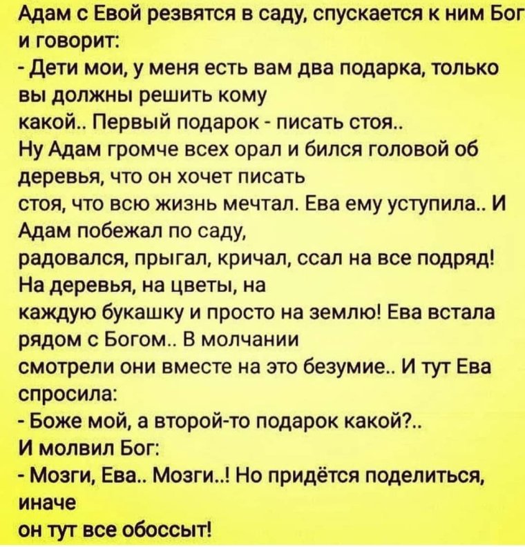 Любимые анекдоты