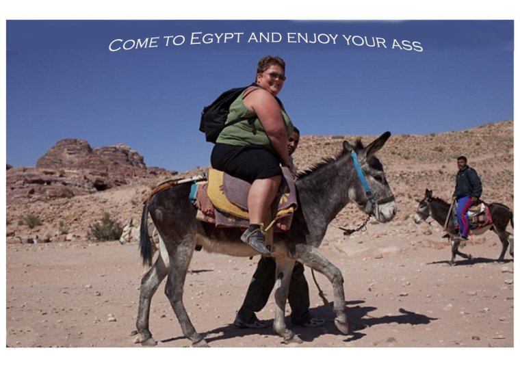 Буриданов осёл притча