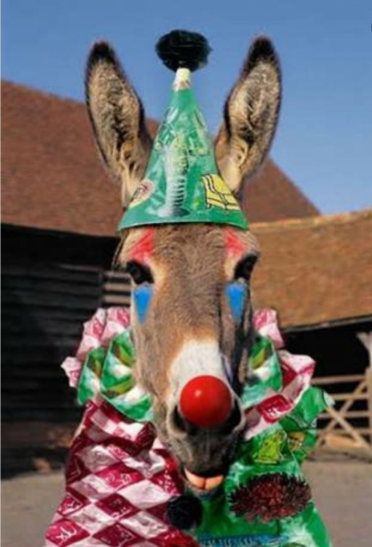 Смешной ишак