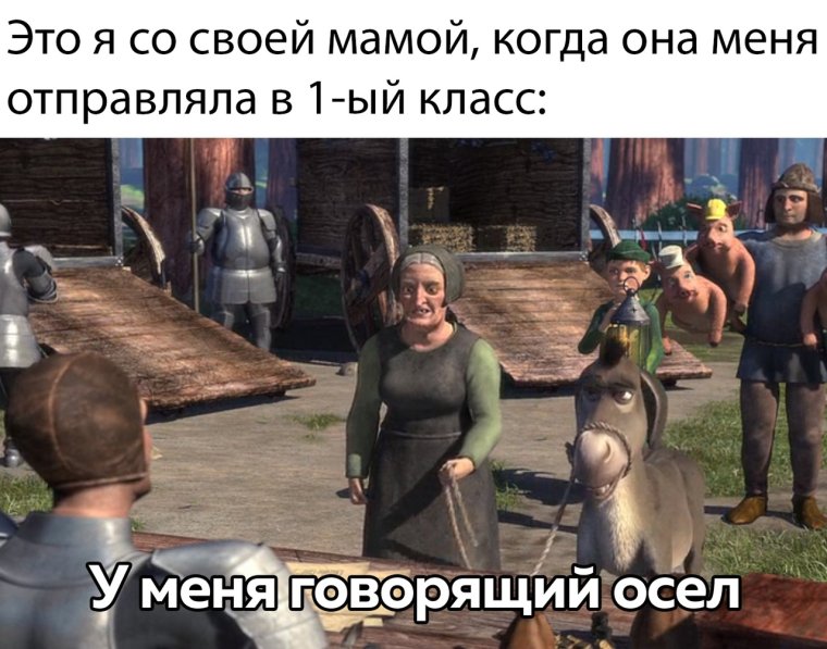 Ишак прикол