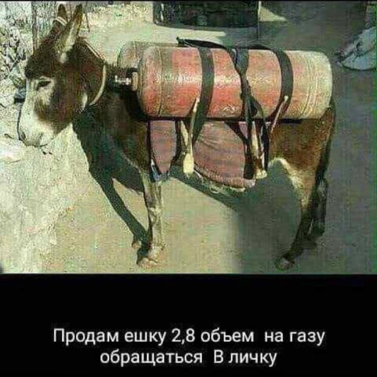 Газовые баллоны на ослах