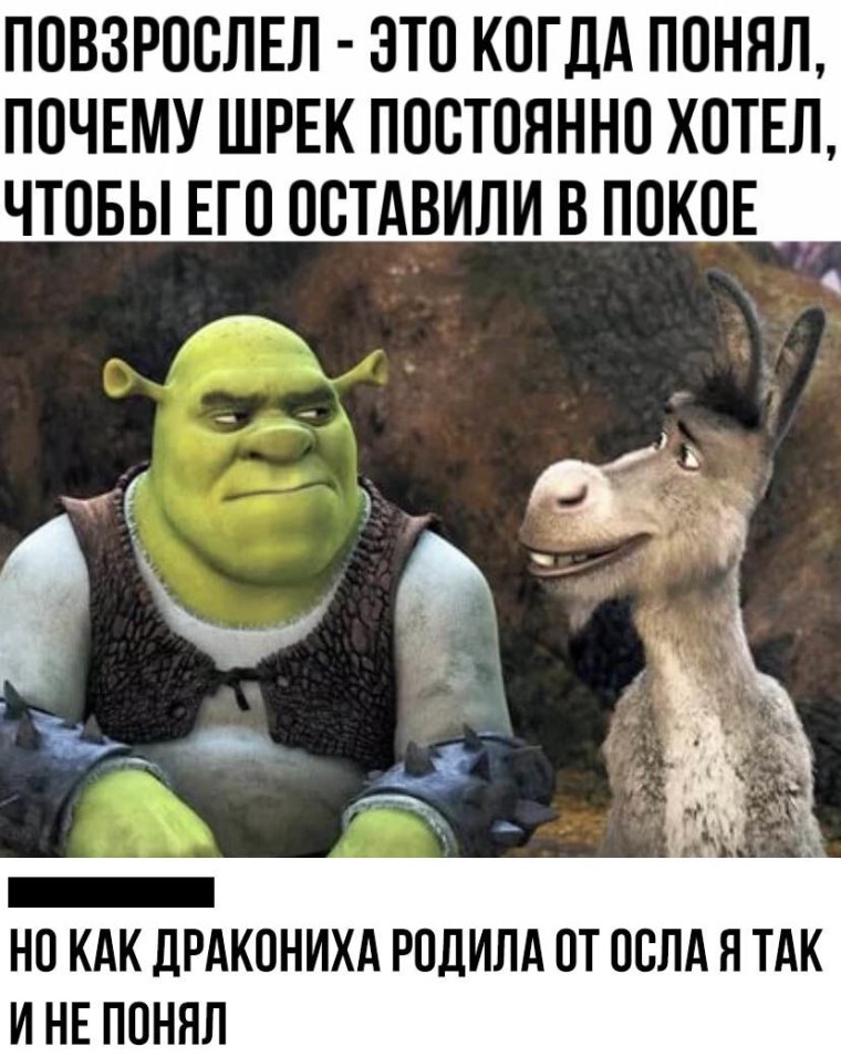 За тебя калым отдам прикол