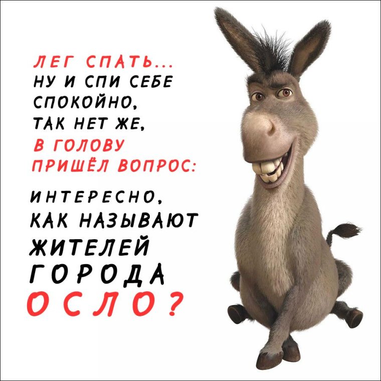 Осел Мем