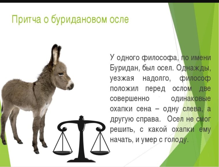 Мем про дракона и осла