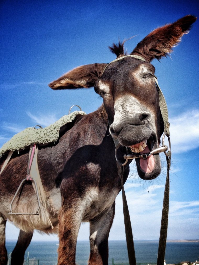 С возвращением на работу после больничного