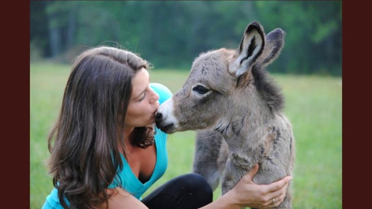 Смешной грузин