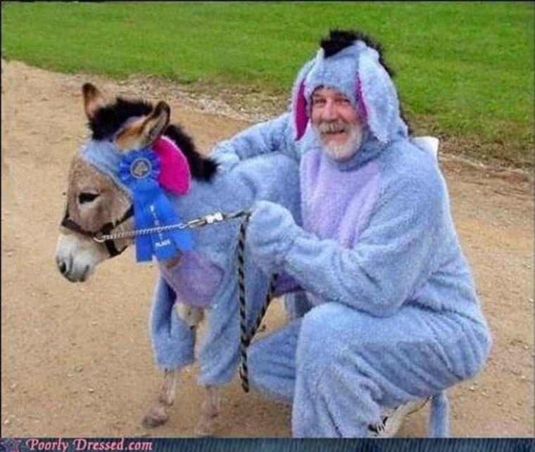 Осел прикол