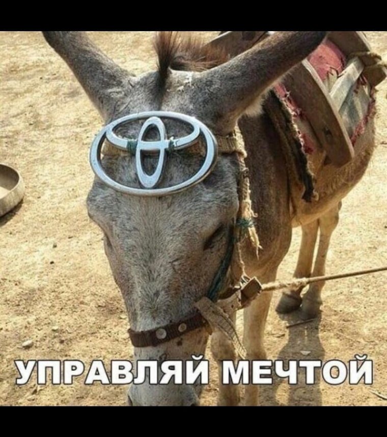 Ишак карабахский