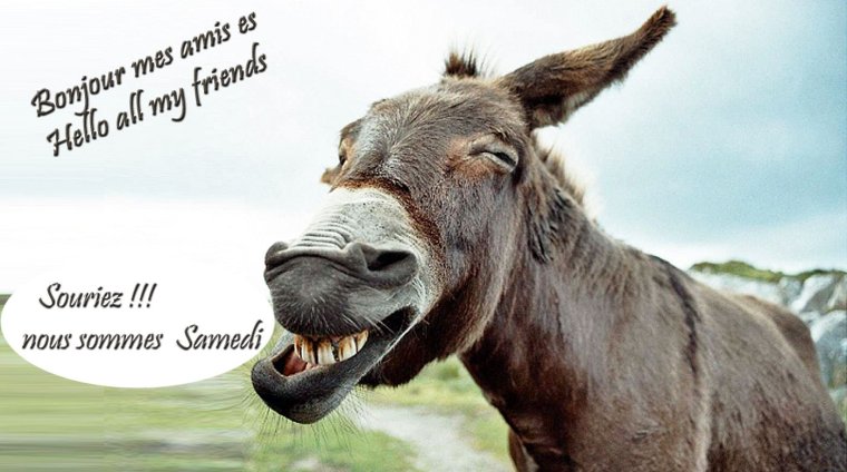 Иллюстрация к басне осел и Соловей