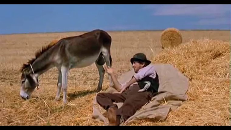 Прикольный ослик