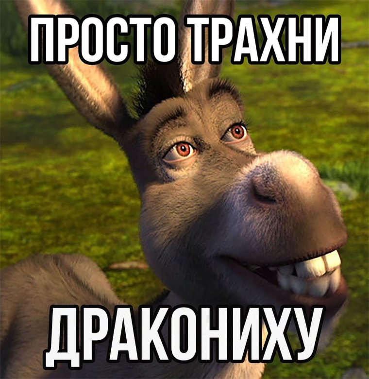 Ослик описание животного