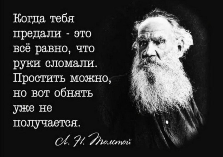 Лев Николаевич толстой Мем