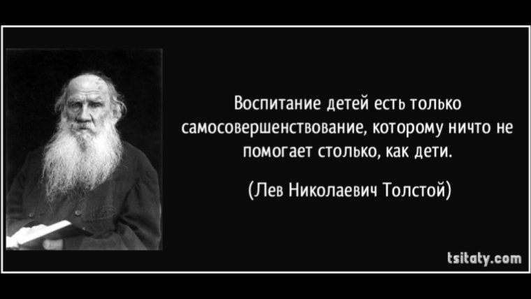 Лев толстой о государстве