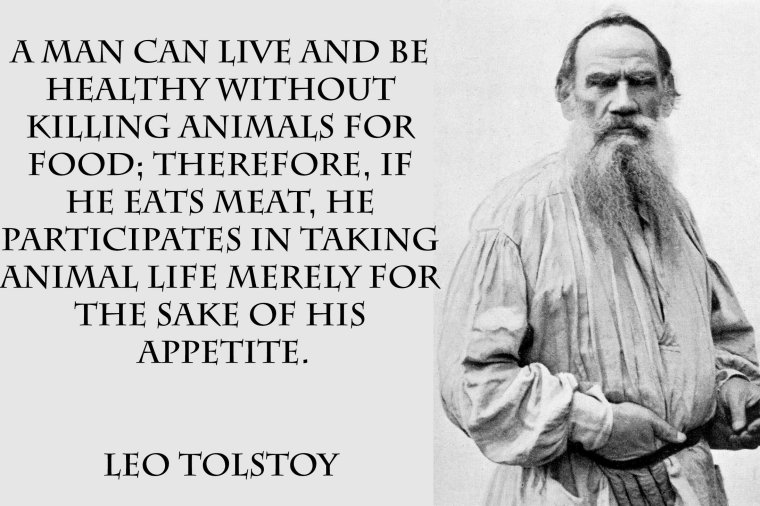 Толстой о войне цитаты