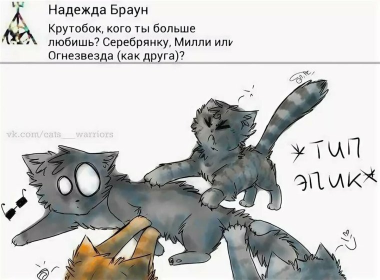 Коты Воители шутки