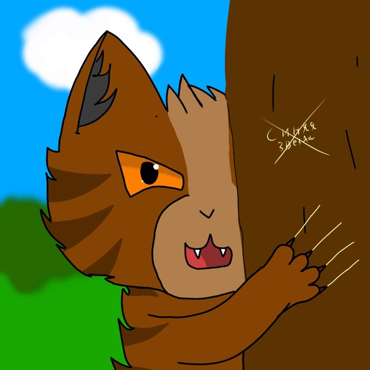 Коты Воители Звездоцап