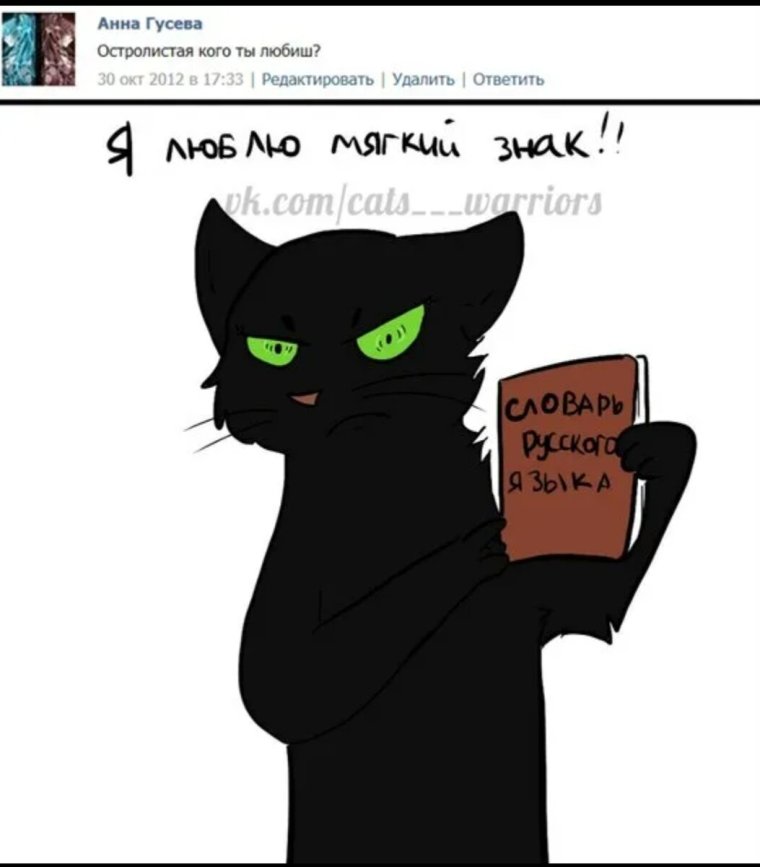 Коты Воители приколы