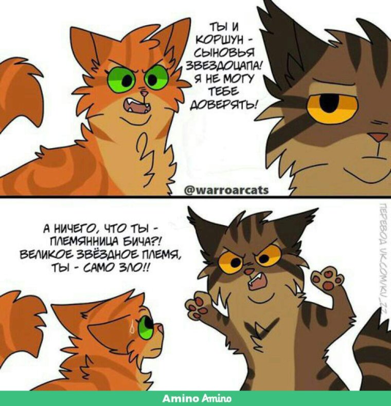 Коты Воители белка и Бич комикс