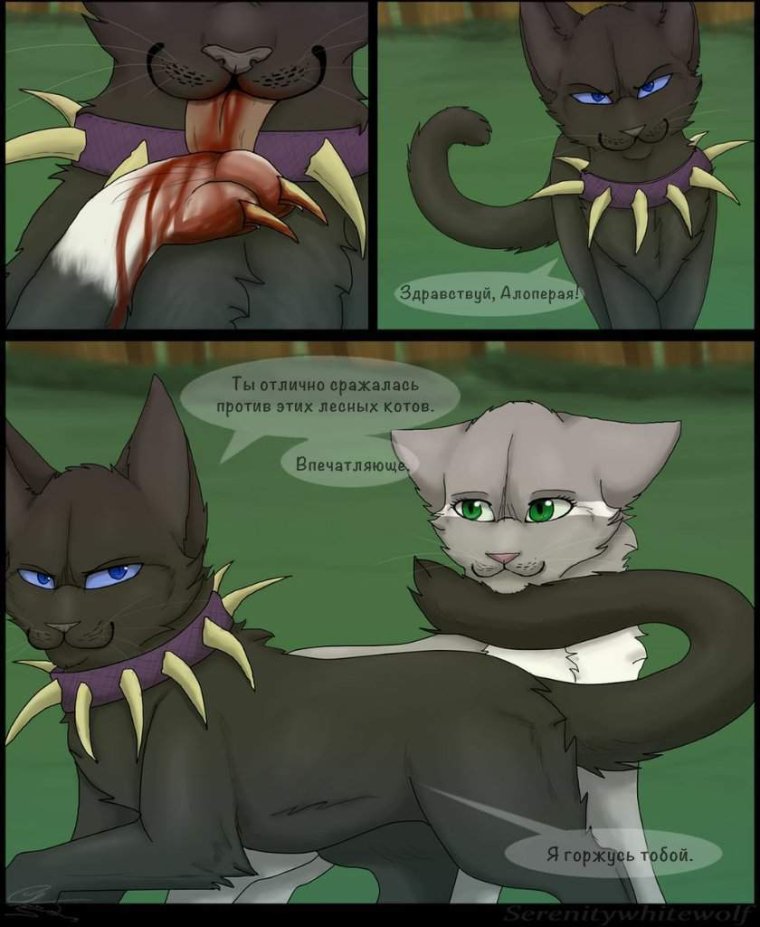 Комикс глаза ворона коты Воители