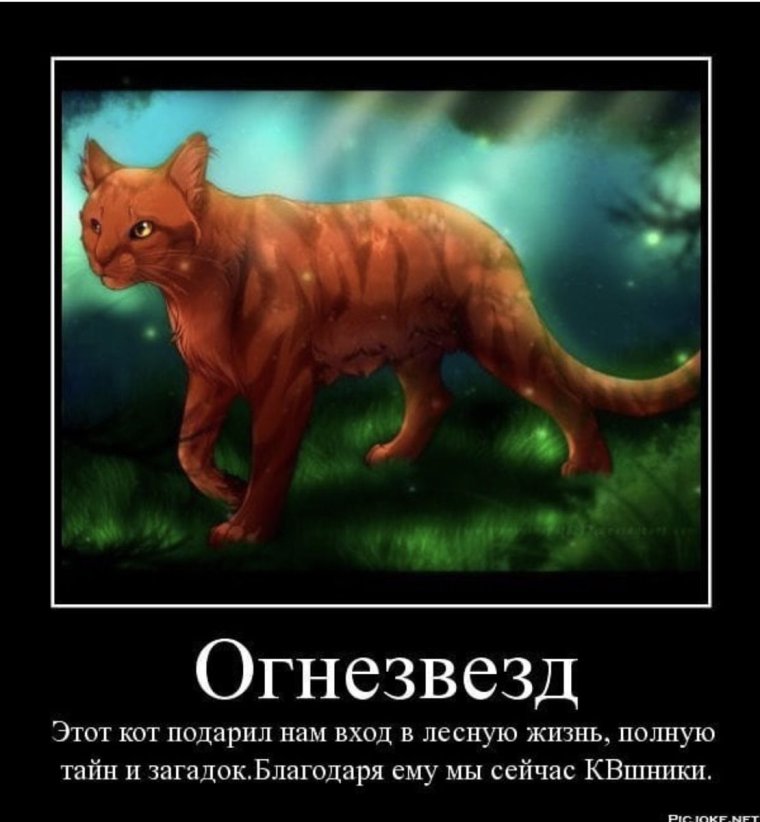 Коты Воители и их названия Огнезвёзд