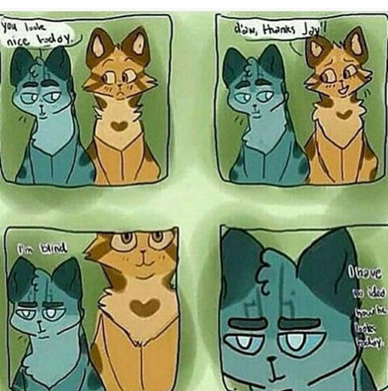 Коты Воители Воробей комикс