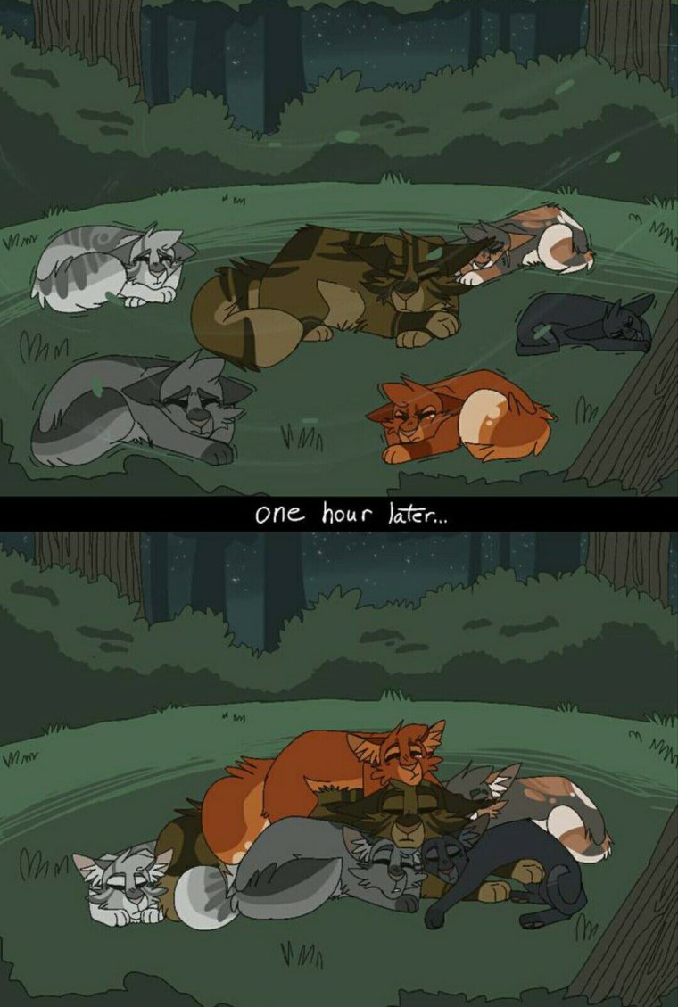 Коты Воители белка и ежевика