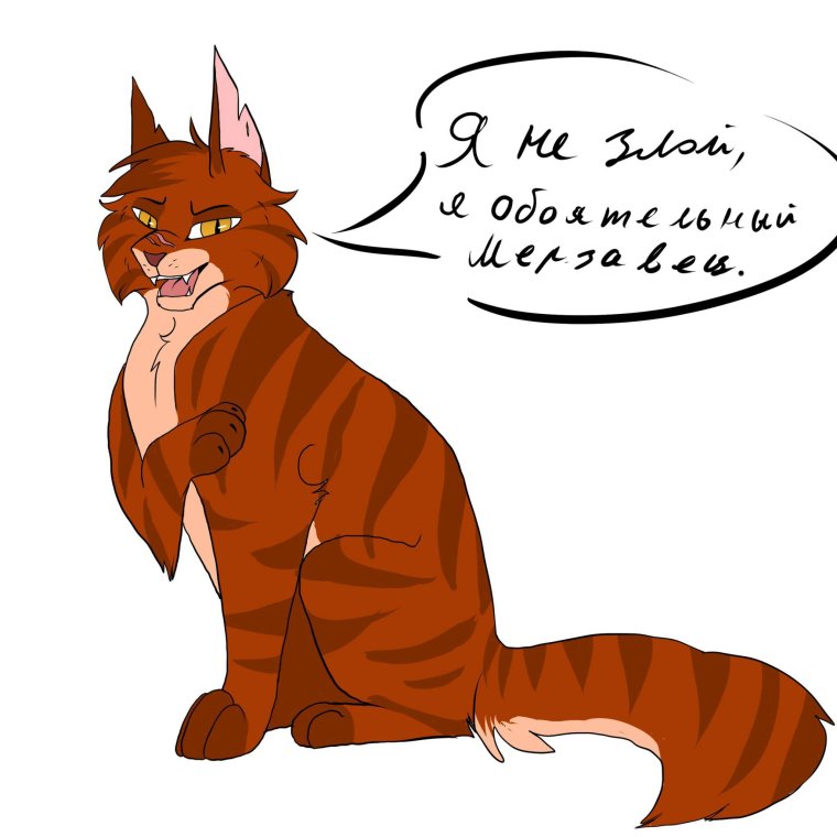 Звездоцап коты Воители хуманизация