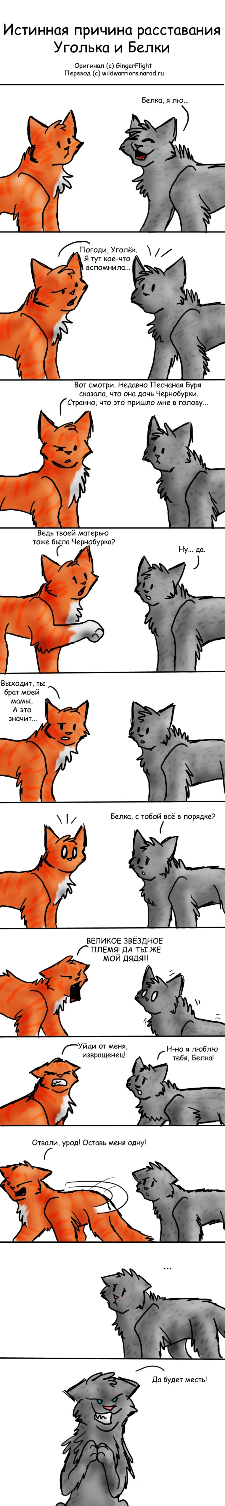 Коты Воители шакалица