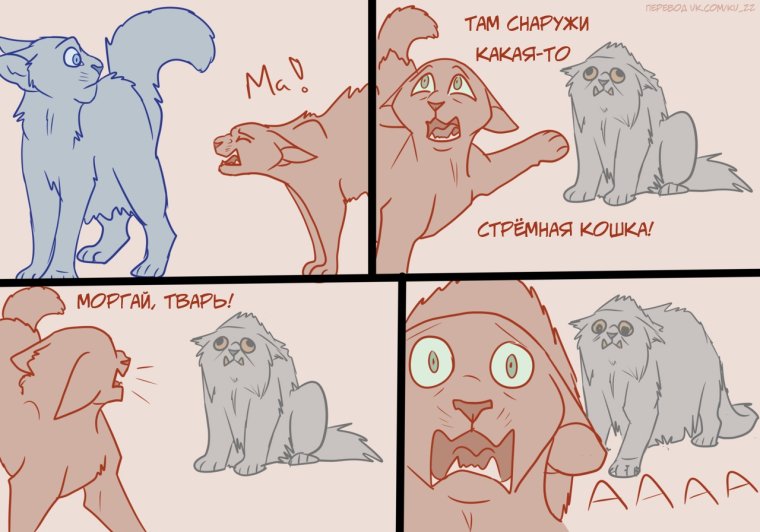 Коты Воители Мем