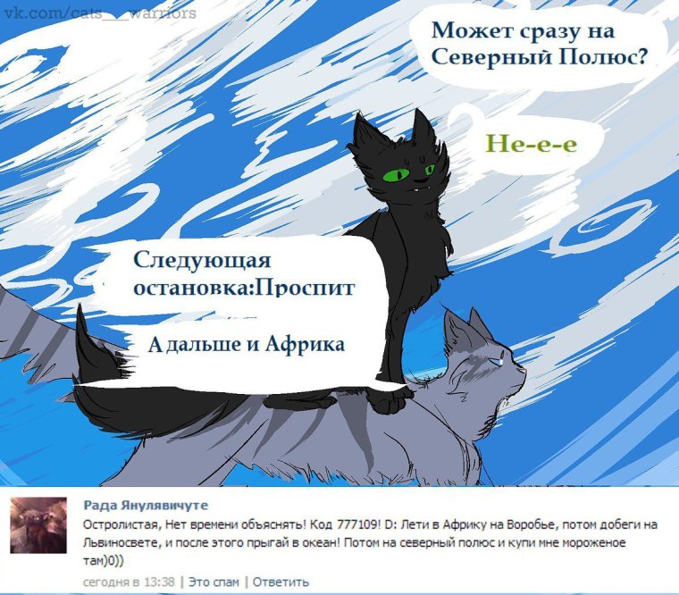 Коты Воители мемы