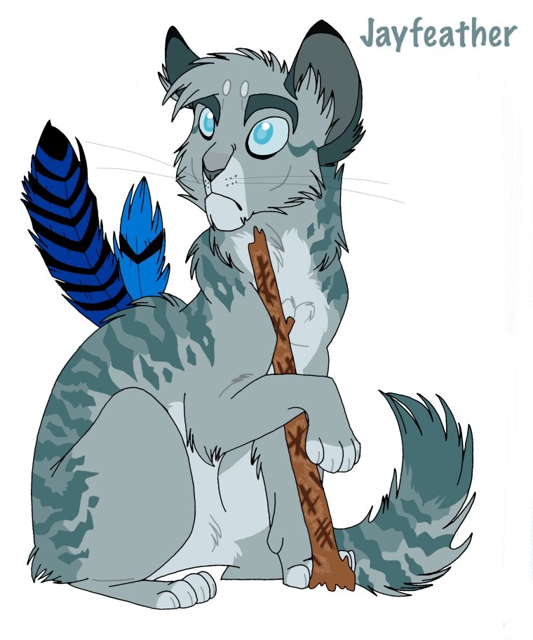 Jayfeather коты Воители