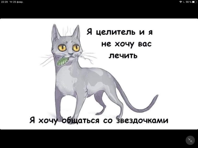 Кот целитель коты Воители