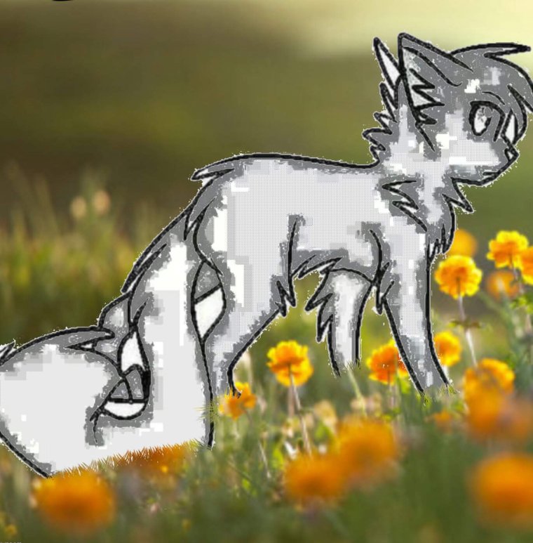 Коты Воители Лунохвост