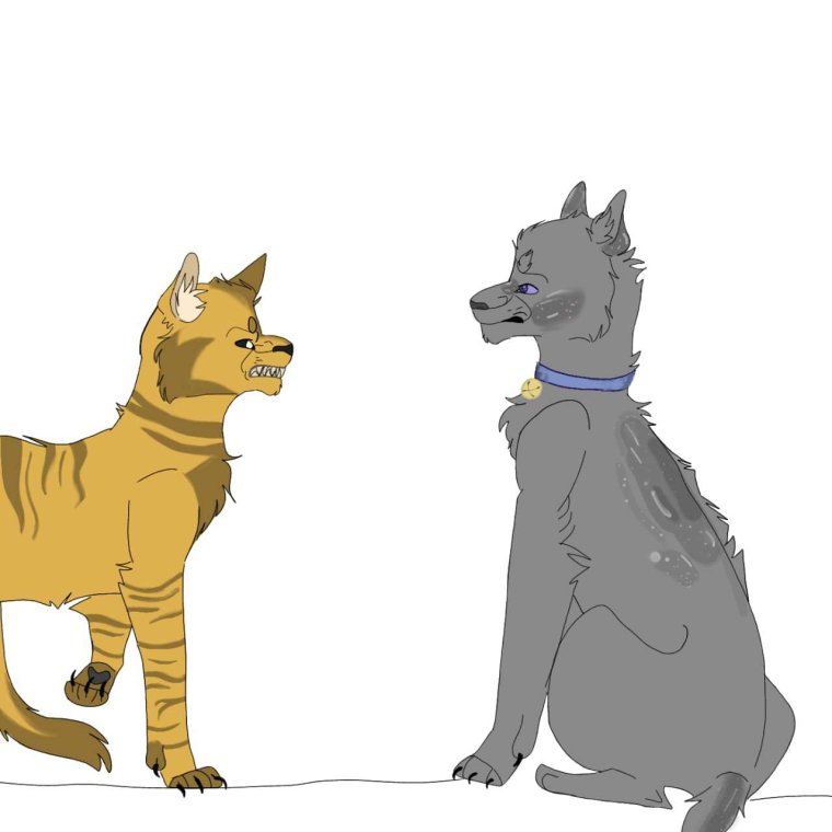 Коты Воители Клеопатра