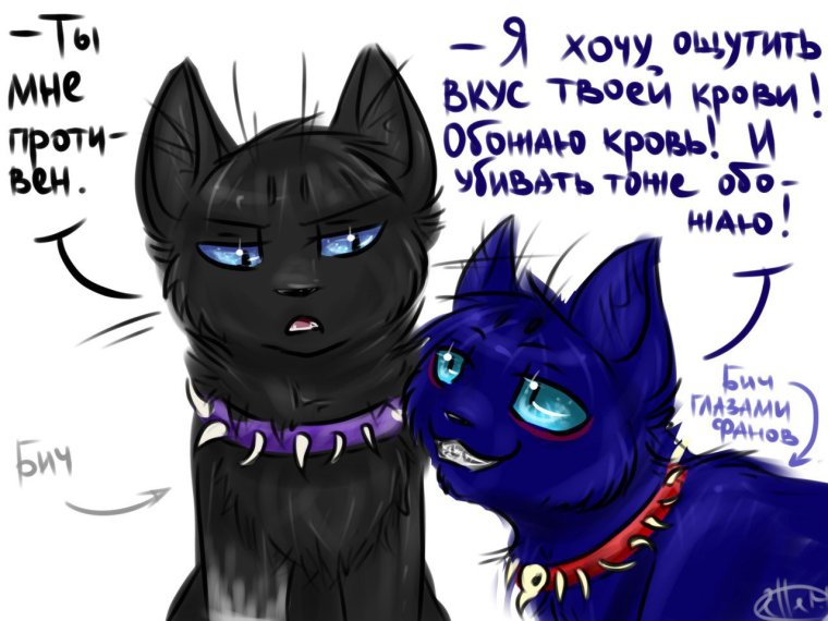 Бич коты Воители смешные