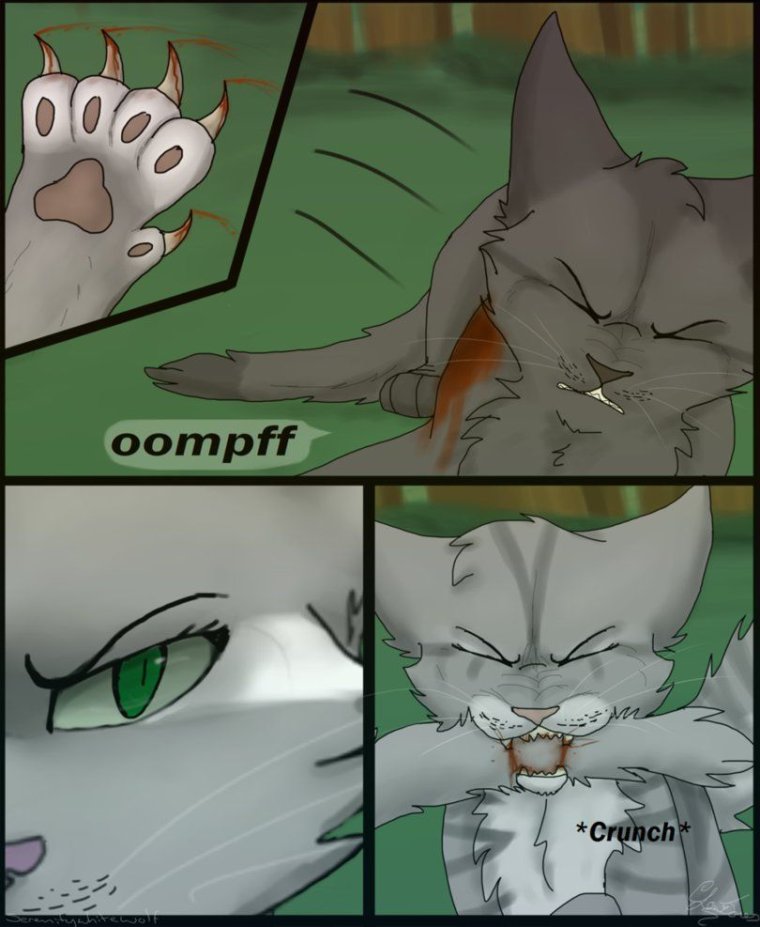 Коты Воители аниме комиксы