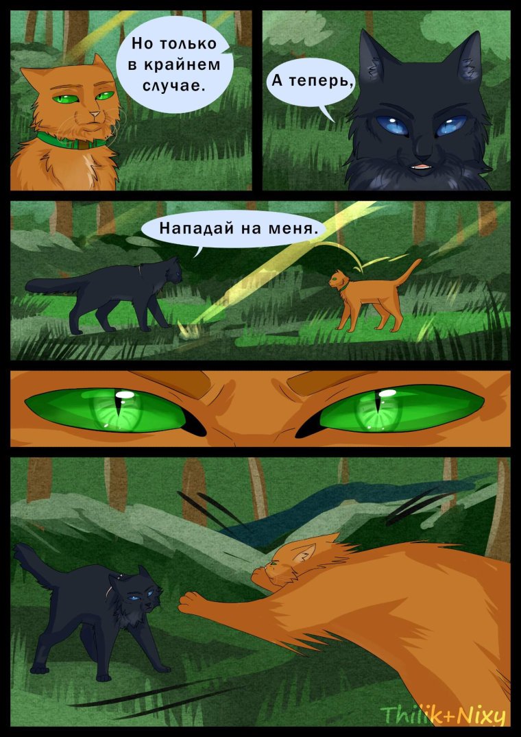 Коллаб коты Воители