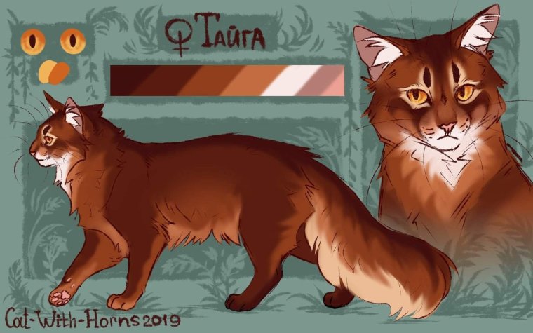 Зарянка коты Воители