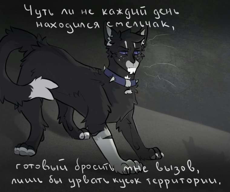 Коты Воители приколы